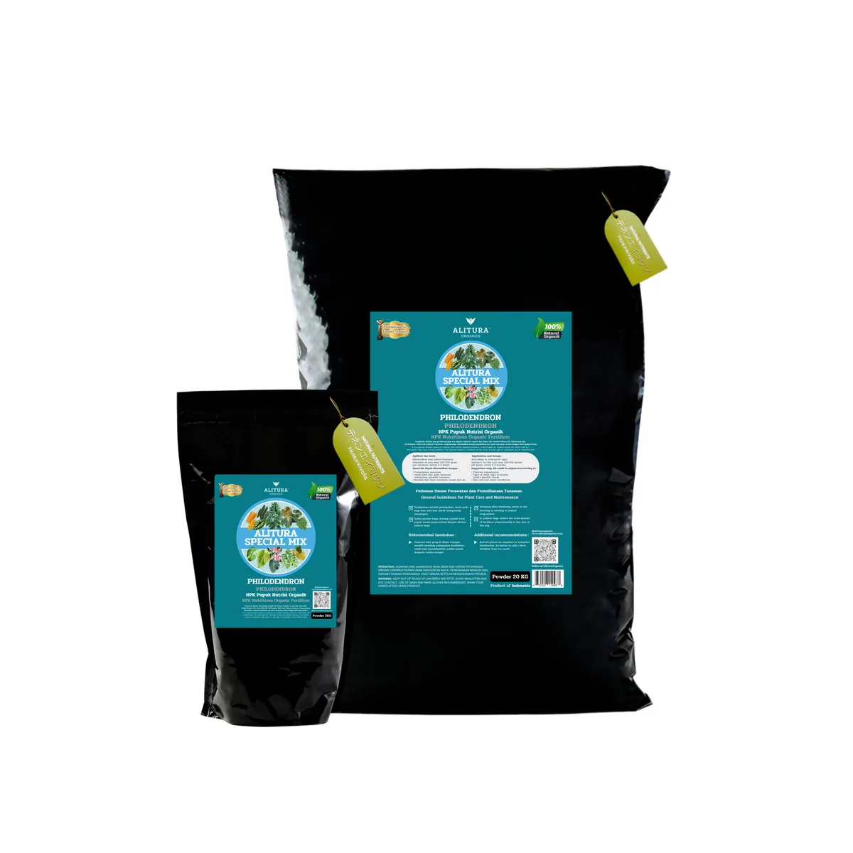 Philodendron Special Mix